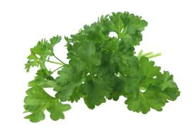 parsley