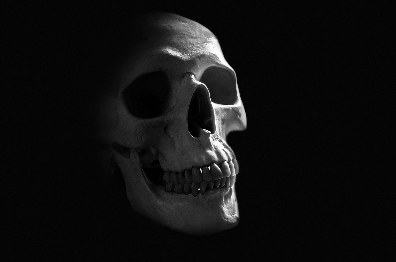 Skull