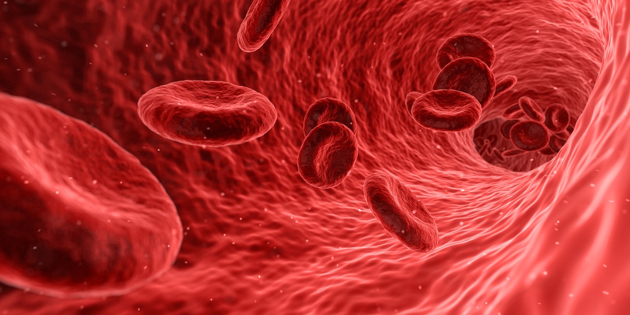 blood cells