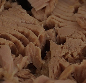 Tuna Tuna