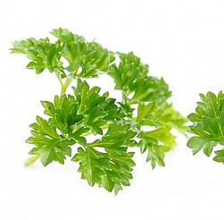 Parsley one of the best herbs for testosterone boosting