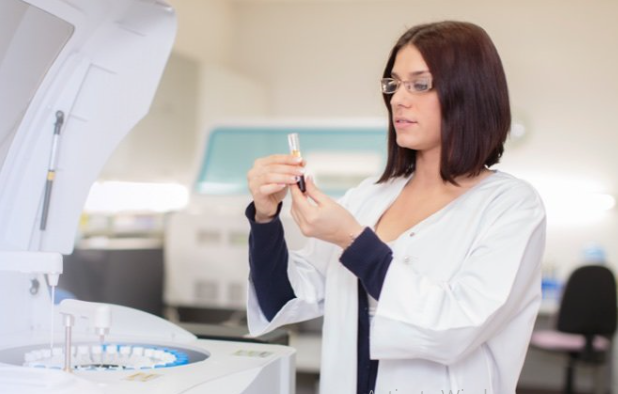 Doctor Studying Blood