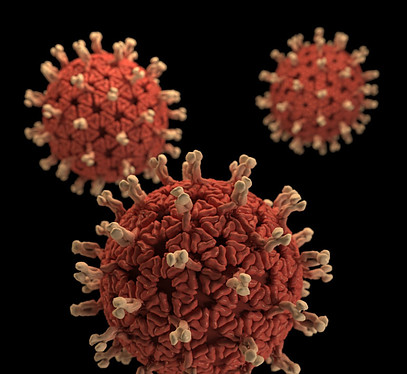 Virus