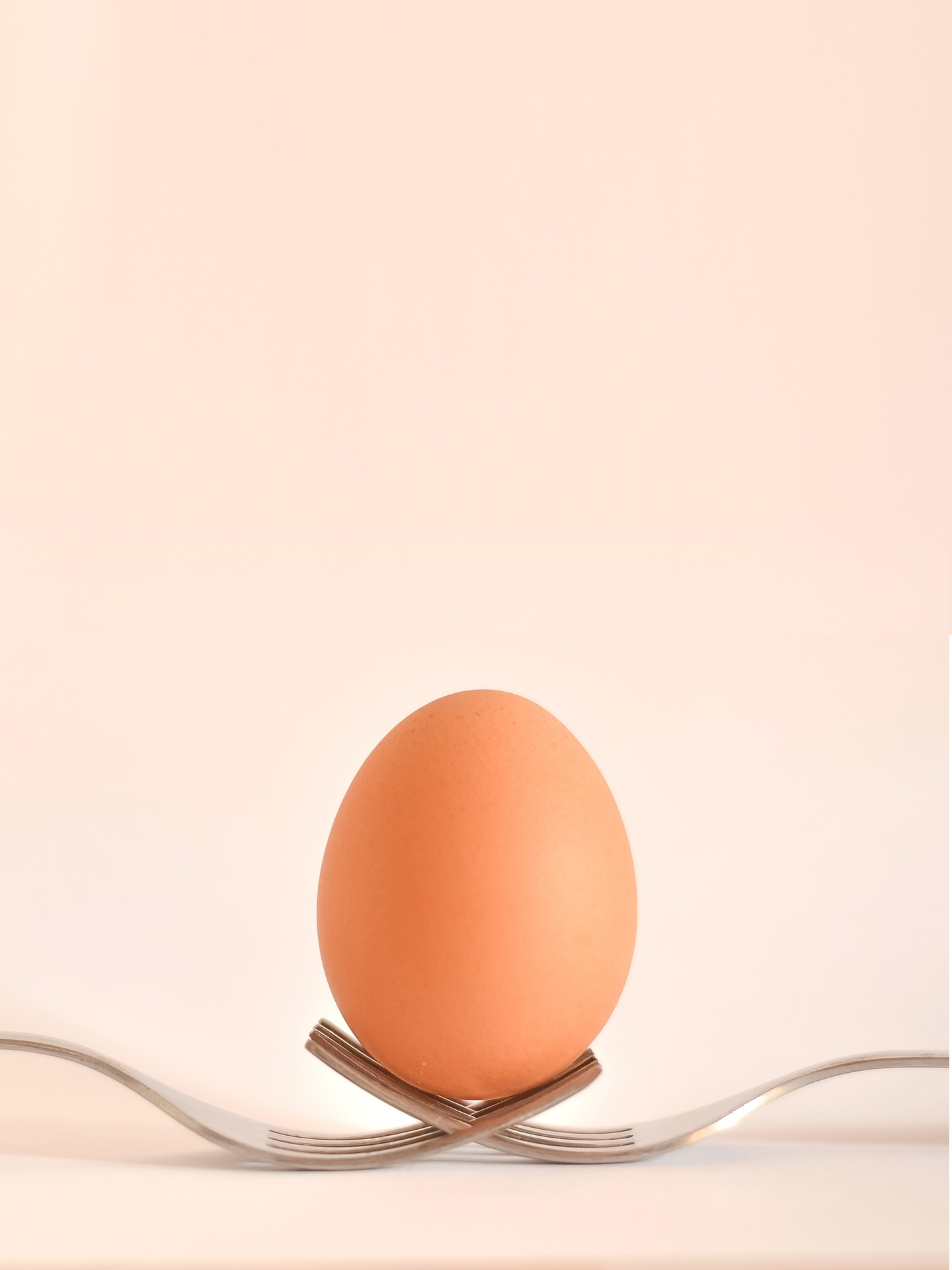 egg on forks