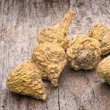 maca-root